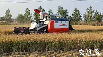 移動(dòng)物聯(lián)網(wǎng)應(yīng)用①｜手機(jī)上種田，無人化種田！智慧農(nóng)場“智”在哪？